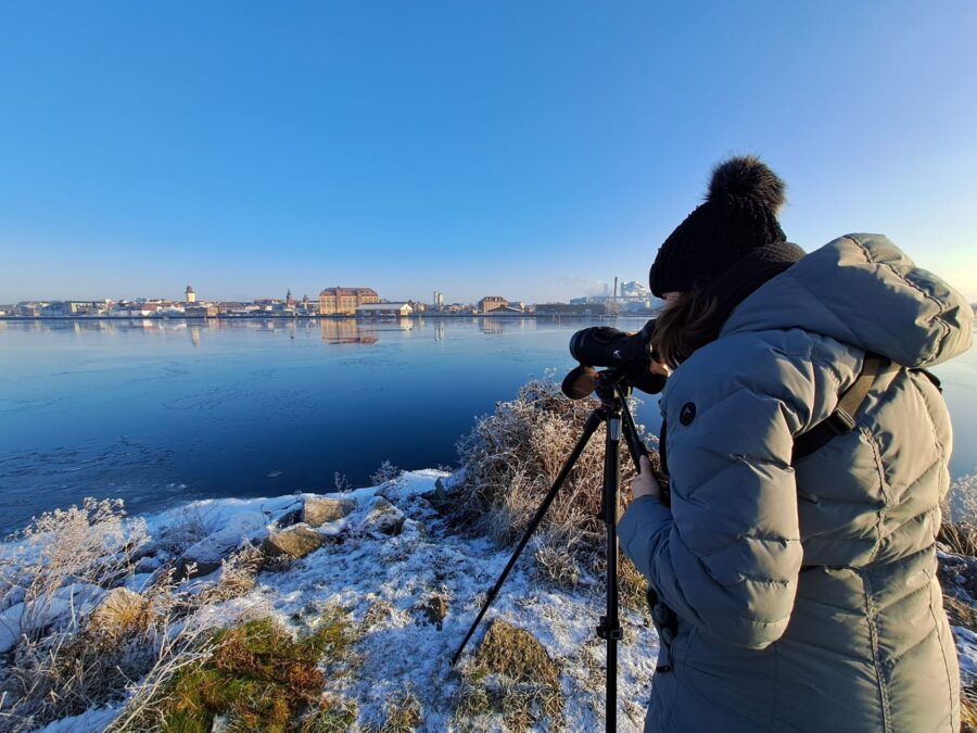 Charlotte kigger over Guldborgsund