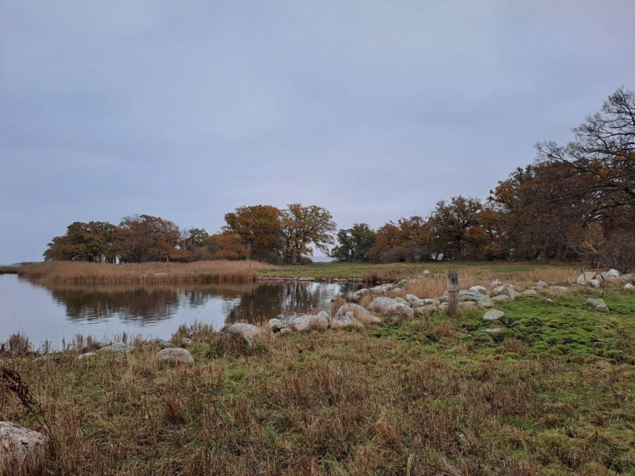 Skejten i efterårsfarver