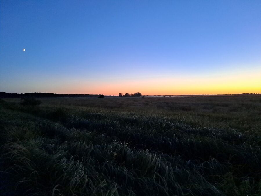 solnedgang ved gødstrup engsø