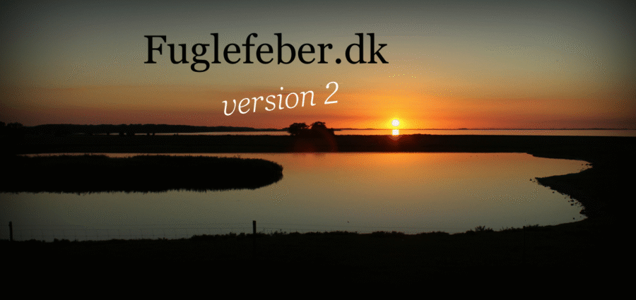 Fuglefeber.dk