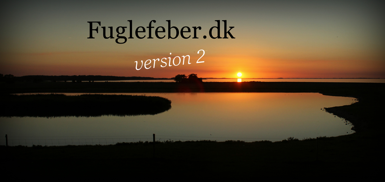 Fuglefeber.dk