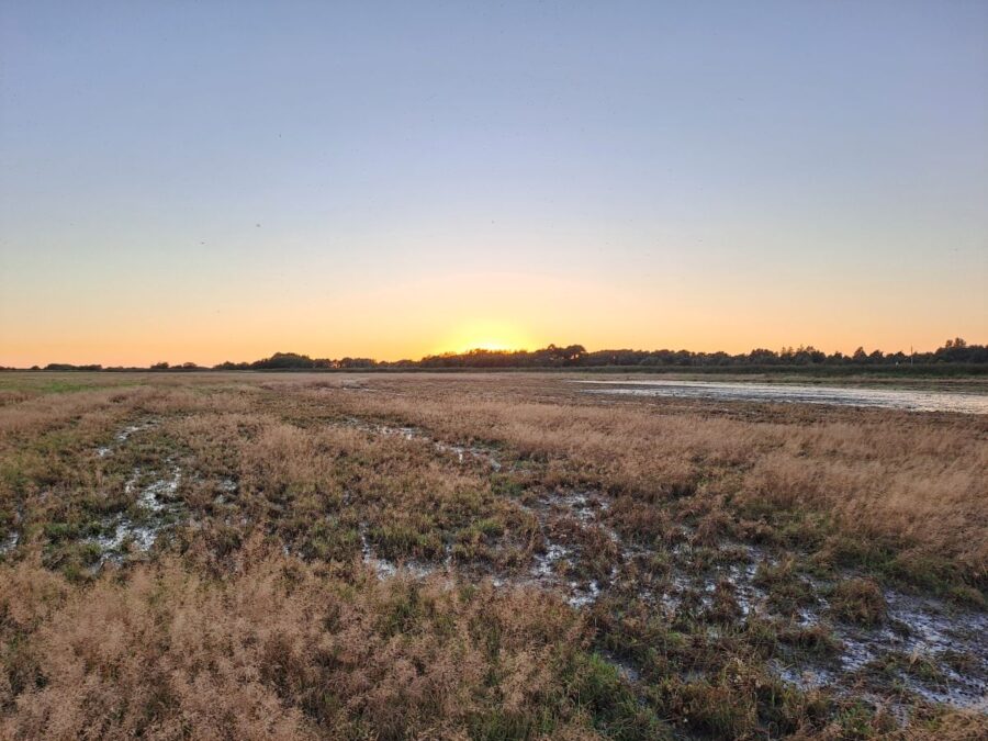 Tredækker-lokalitet