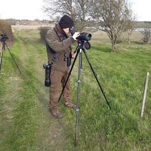 birding